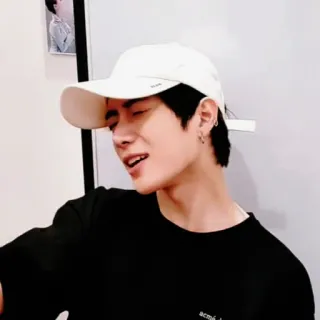 🐻 91085e36 whatsapp sticker