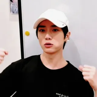 🐻 9aedb531 whatsapp sticker