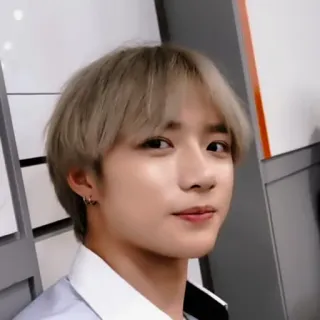 🐻 a283ab25 whatsapp sticker