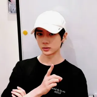 🐻 b05759c3 whatsapp sticker