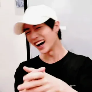 🐻 bf288982 la vie person, lächelnd, hut, lachen, porträt whatsapp sticker