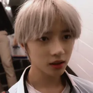 🐻 d29c8316 whatsapp sticker