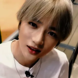 🐻 d6ce36c0 whatsapp sticker