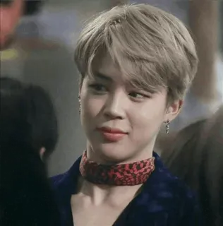 ⛲️ 4877c1c3 Jimin kpop, singer, male, idol, bts telegram sticker