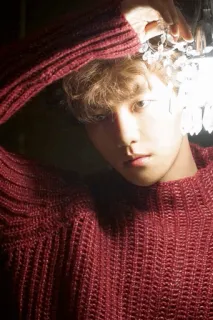 Love you @Rainbow_pcy. telegram stickers