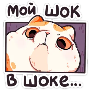 🤨 5d1a241b МОЙ ШОК 
В ШОКЕ... 猫, 震惊, 可爱, 动物, 贴纸 whatsapp sticker