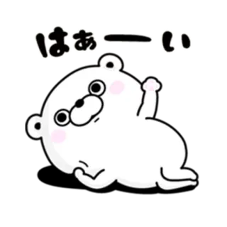 🙋‍♀️ 7c48f185 はぁーい Bär, niedlich, kawaii, weißer Bär, entspannt, Cartoon Bär, Gruß telegram sticker