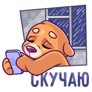 😰 b2a6e86d СКУЧАЮ 슬픈, 개, 창문, 비, 실종된 telegram sticker