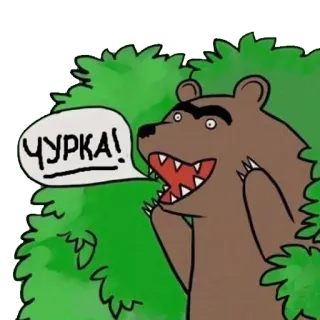 🌳 68288868 ЧУРКА! urso, desenho animado, ofensivo, insulto telegram sticker