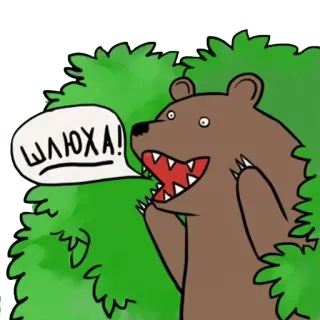 🌳 a74b69d2 ШЛЮХА! urso, arbusto, desenho animado, animal telegram sticker