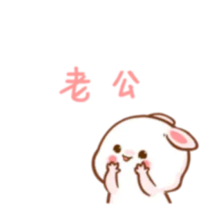 🔊 339fadb4 老公 coelho, fofo, adesivo, chinês, marido whatsapp sticker