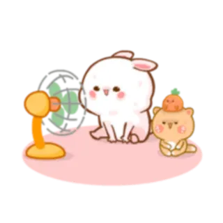 🔥 767cf962 coelho, urso, fã, fofo, desenho animado, animal whatsapp sticker