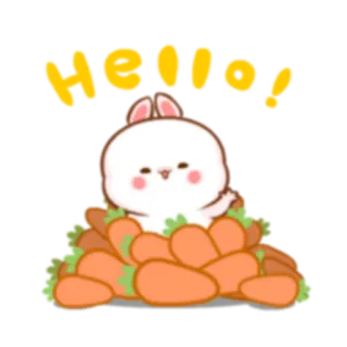 👋 fdc5b650 Hello! coelho, cenoura, fofo, animal, saudação whatsapp sticker