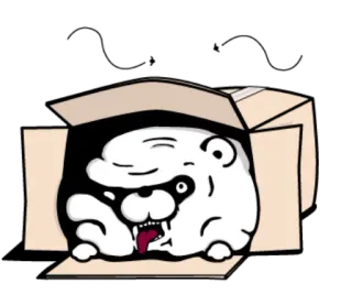 😠 72d0c383 perro, caja, animal, gracioso, dibujo animado, pegatina whatsapp sticker