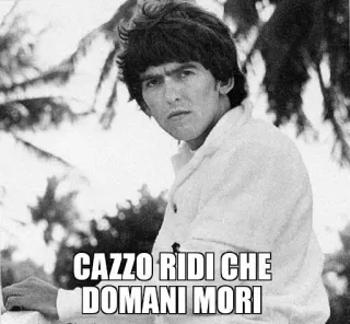 😐 3e2c9633 CAZZO RIDI CHE DOMANI MORI 表情包, 意大利, 冒犯 telegram sticker