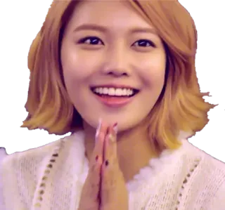 🙏 cf549674 韓国, 女性, 笑顔, 挨拶, 可愛い, ポートレート telegram sticker