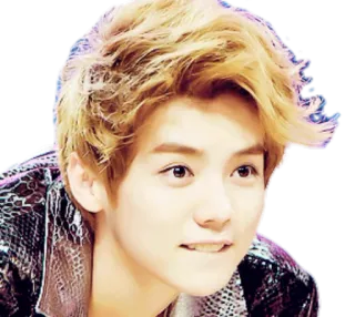 😍 ce274022 orang, selebriti, pria, potret, wajah, k-pop telegram sticker