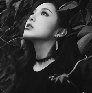 🥀 136515ef woman, black and white, portrait, leaves, choker, earrings, looking up, artistic telegram sticker
