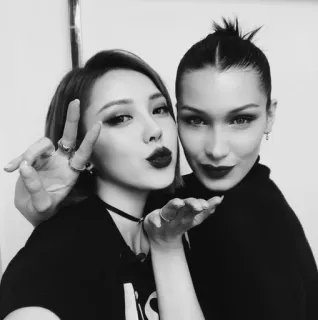 🌚 b2983f06 women, friends, portrait, black and white, selfie telegram sticker