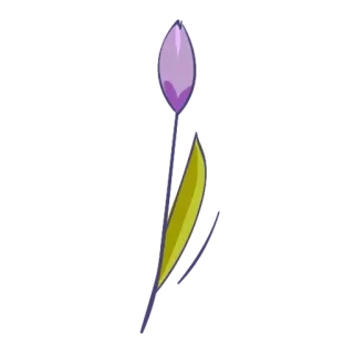 🌺 3e297d11 telegram sticker