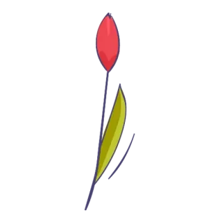 🌺 6bc8fb9d telegram sticker