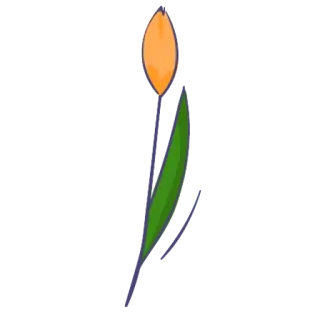 🌺 c8ba2e55 キャンドル, 炎, 光, 照明, ワックス, 緑, オレンジ telegram sticker