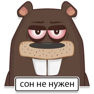 😴 30caa03e сон не нужен castoro, animale, assonnato, cartone animato, adesivo telegram sticker