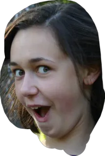 🌞 c24b6fdc portrait, woman, face, head, expression, person telegram sticker