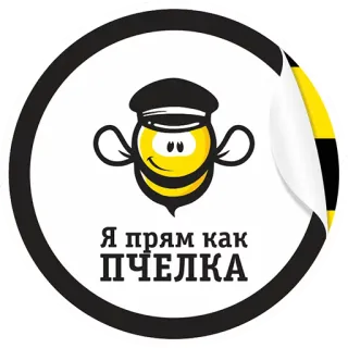 🐝 8eac11c0 Я прям как ПЧЕЛКА 蜜蜂, 贴纸, 俄语, 动物 telegram sticker
