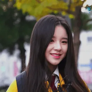 🐝 0b736f7c whatsapp sticker