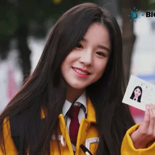 🐝 16d15450 whatsapp sticker