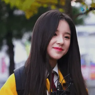 🐝 2edd5031 whatsapp sticker