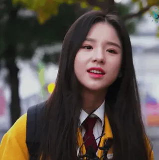 🌻 3e3f28e3 whatsapp sticker