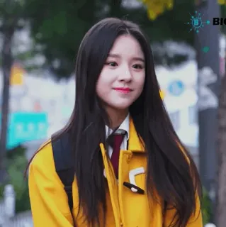 🌻 5121db57 whatsapp sticker