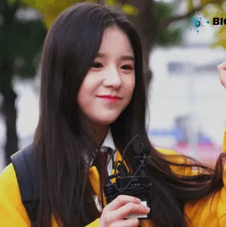 🌻 559653cb whatsapp sticker