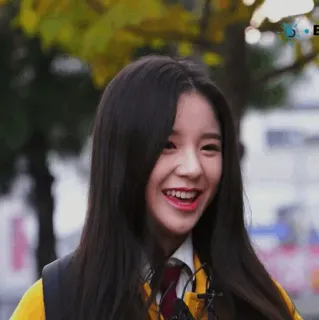 🌻 60e89c70 whatsapp sticker