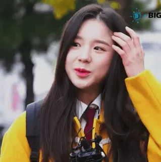 🐝 68110101 whatsapp sticker