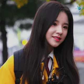 🐝 6f01b57d whatsapp sticker