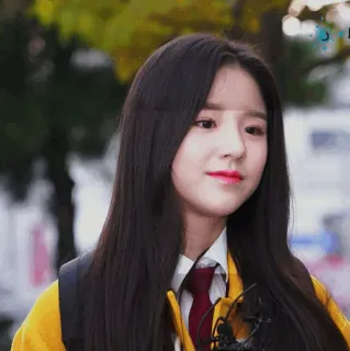 🐝 6fd6d3b6 whatsapp sticker