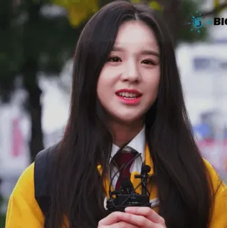 🐝 816de94c whatsapp sticker