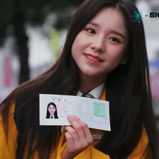 🌻 87b78982 whatsapp sticker