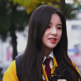 🌻 a1d182bc whatsapp sticker