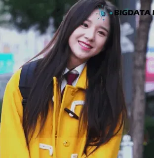 🐝 a91f113c BIGDATA whatsapp sticker