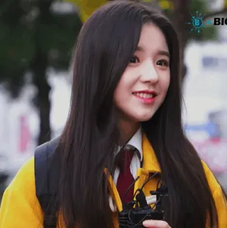 🐝 b3a8faf5 whatsapp sticker