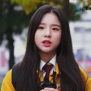 🐝 bcab5fd2 whatsapp sticker