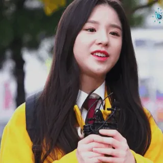 🌻 c050f929 whatsapp sticker