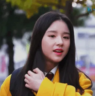 🌻 c6d70a3f whatsapp sticker