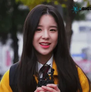 🌻 cda13ffa whatsapp sticker