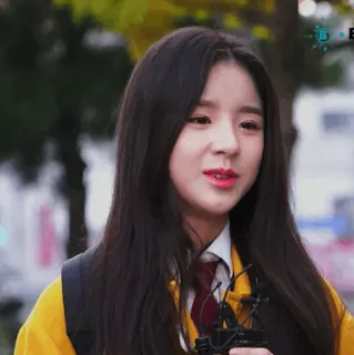 🌻 d44931bd whatsapp sticker