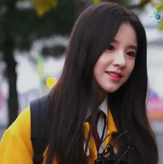 🌻 d5a3fad9 whatsapp sticker